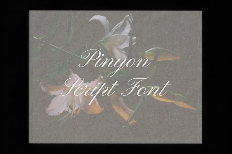 Pinyon Script Font