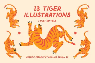 Tiger Vector Illustrations