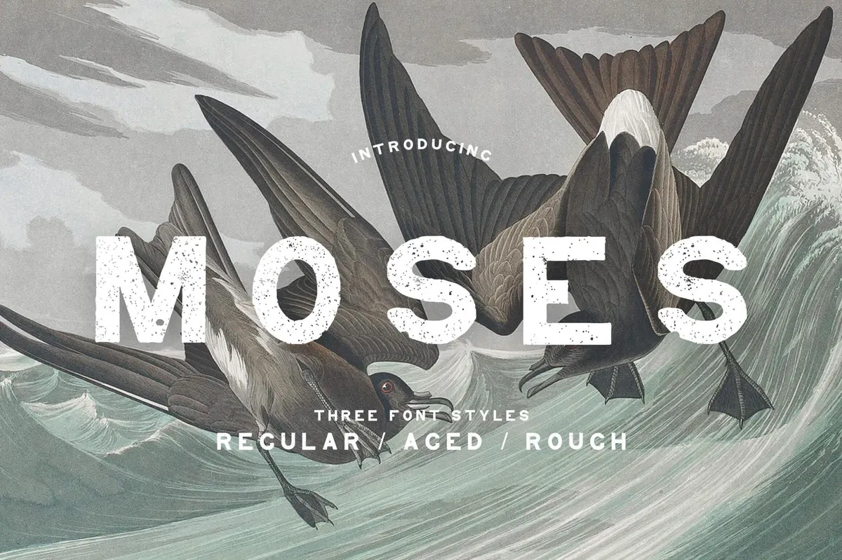 Moses Display Grotesque Typeface