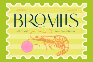 Bromlis - Elegant Display Sans Serif Font
