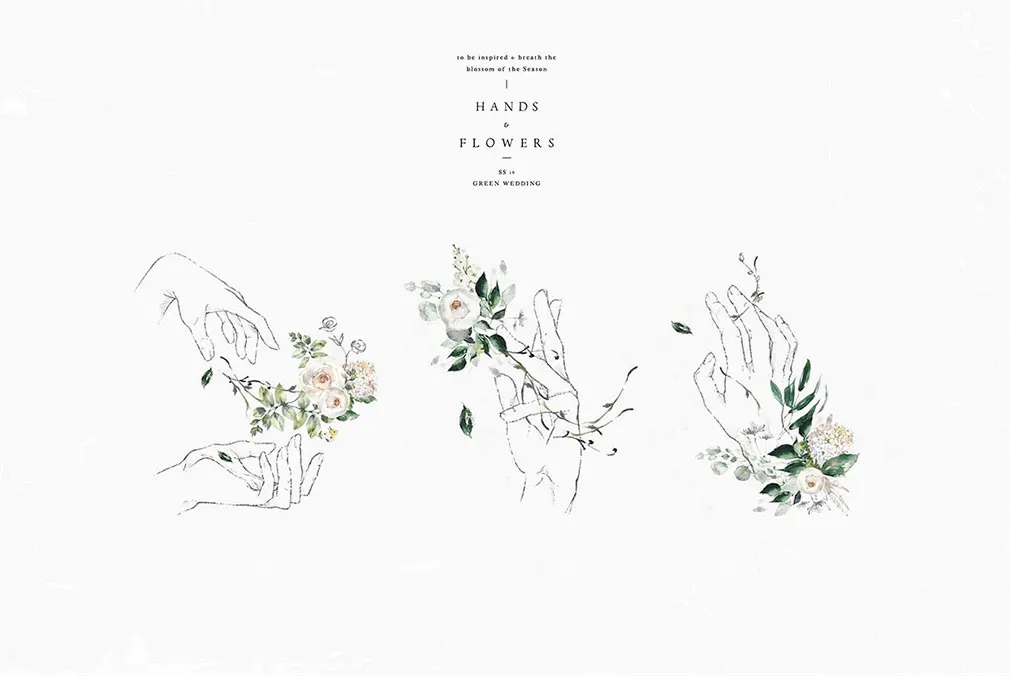 Allegory Watercolors Collection