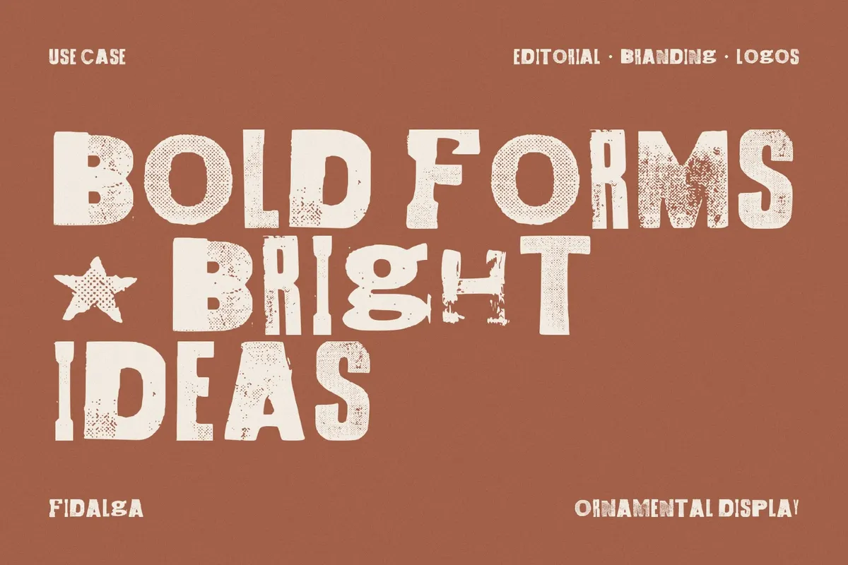 Fidalga Retro Grunge Font