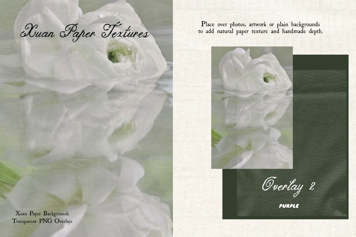 Xuan Paper Textures & Overlays