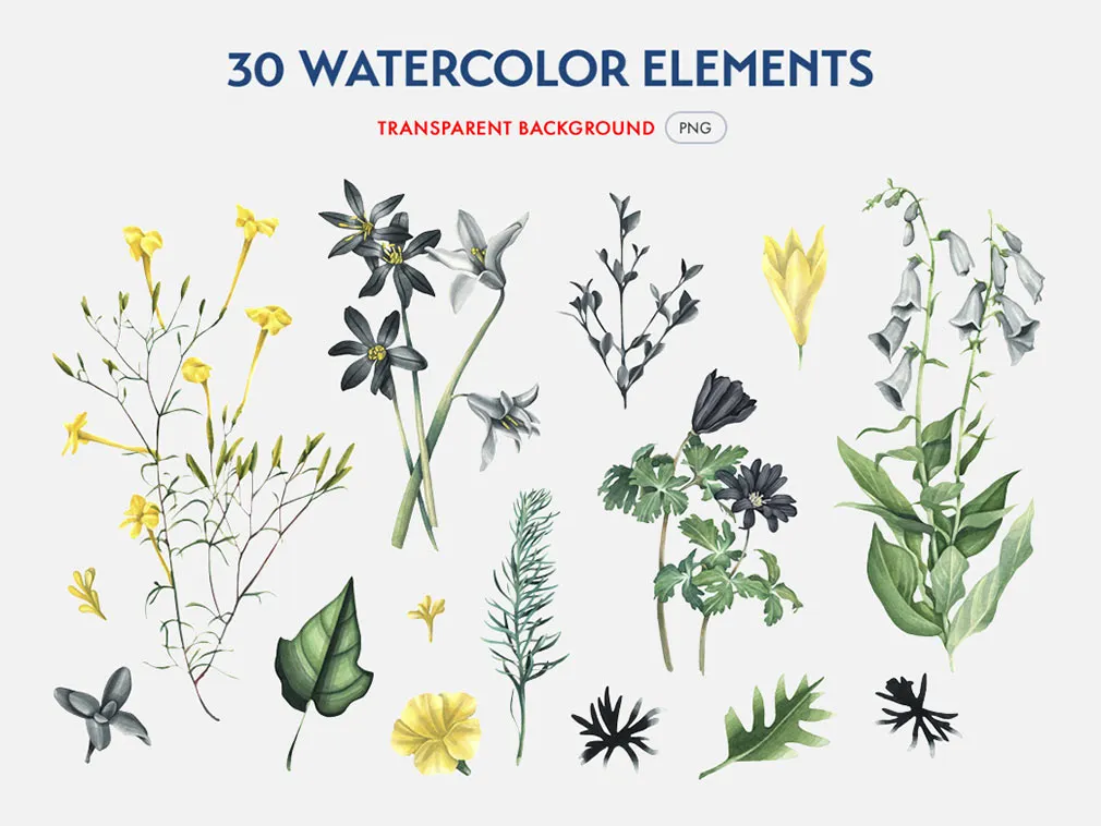 Botanical Garden Watercolor Set