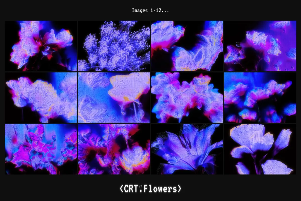 CRT Flowers Overlays
