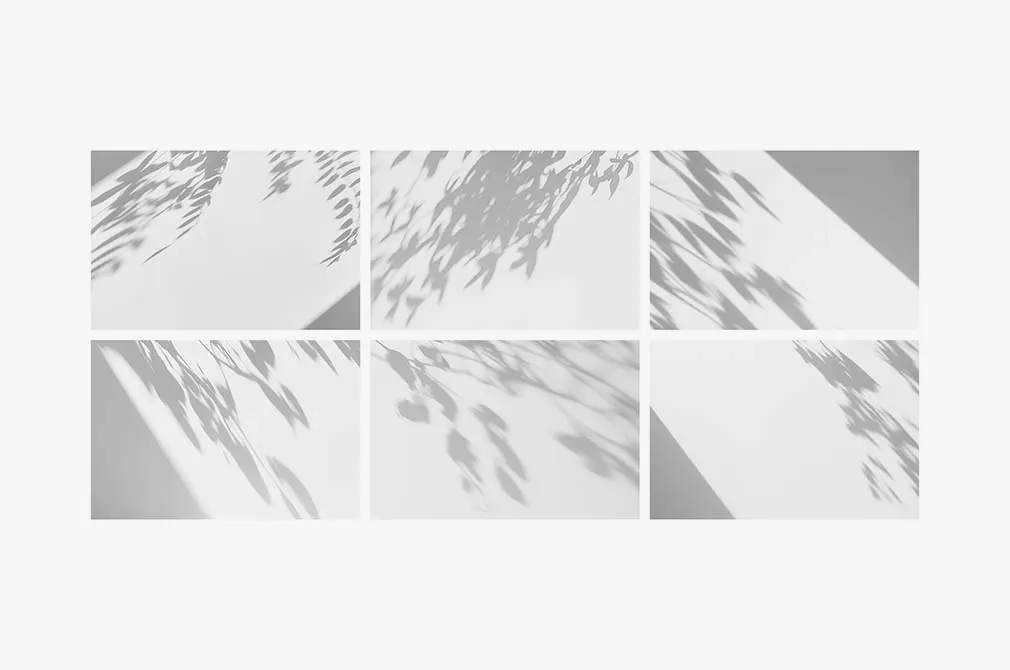 Nature Shadow Overlays Collection
