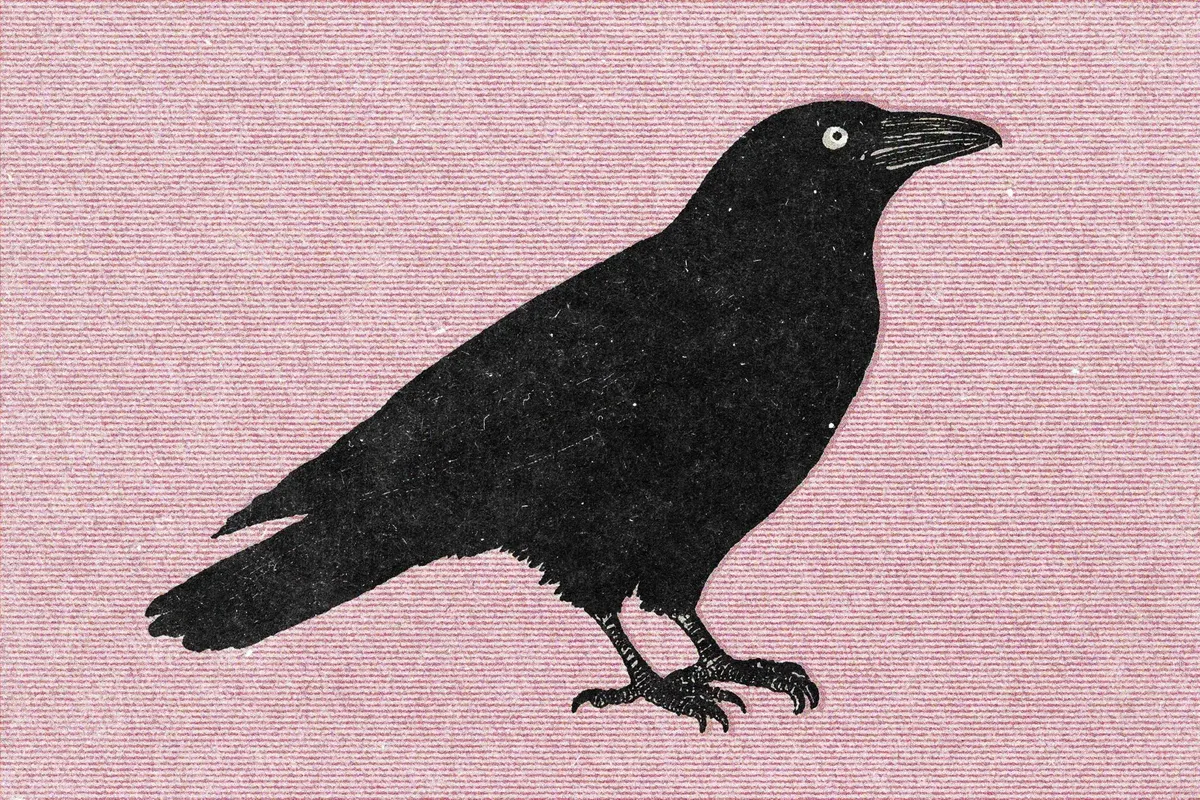Old Screen Print Effect