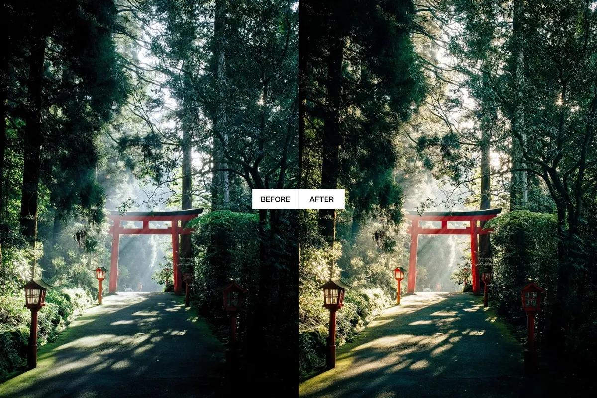 Japan Travel Lightroom Presets