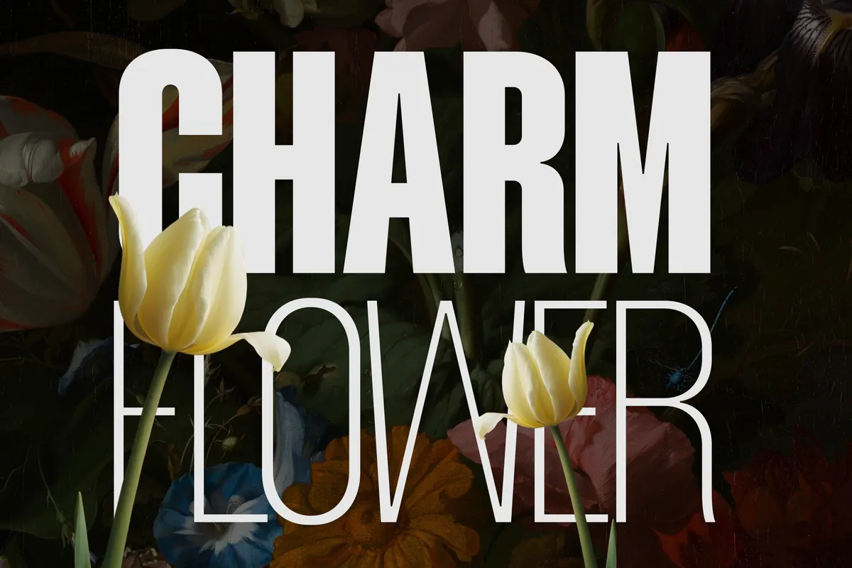 Mavine - Tall Condensed Sans Font Family