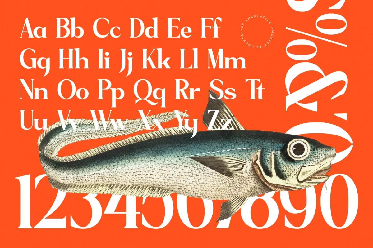 Sagfield - High-Contrast Display Serif Font