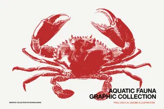 Aquatic Fauna Graphic Collection