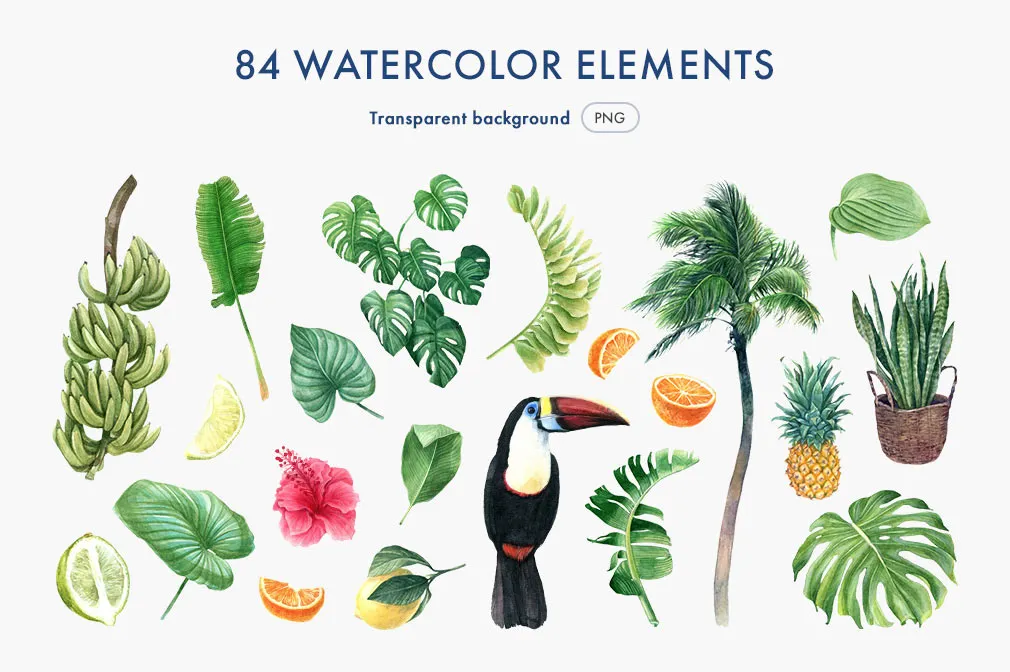 Forever Summer Watercolor Set