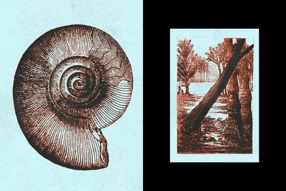 Vintage Print Effect