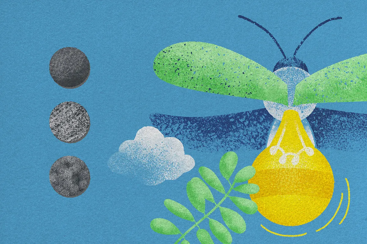 Tinge Texture Affinity Designer Brushes