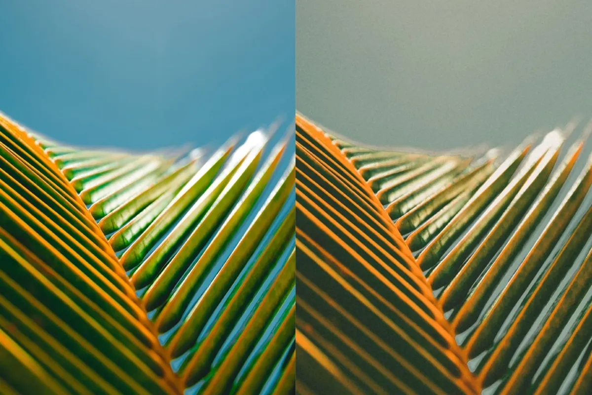 35mm Film Look Lightroom Presets