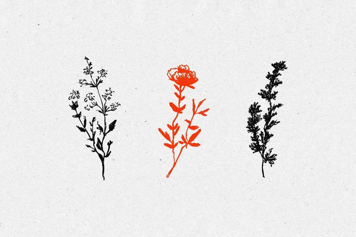 Wild Plants Graphic Set