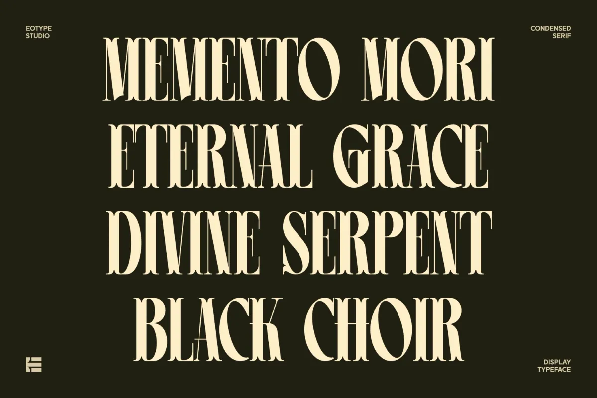 Leonice - Elegant Condensed Serif Font