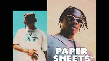 Crumpled Paper Sheets Poster Effect