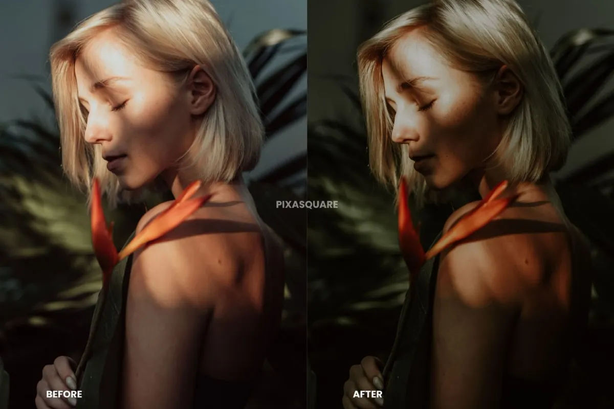 Dark Moody Lightroom Presets