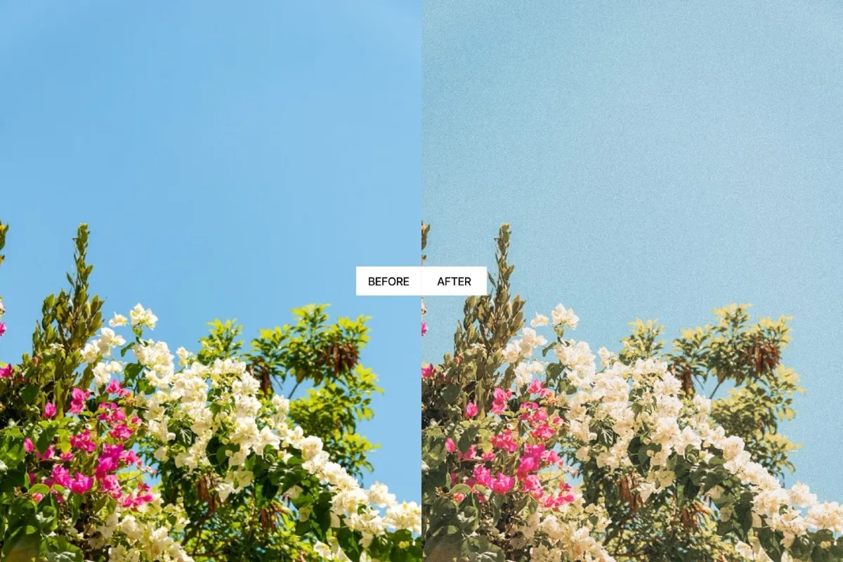 Vintage Summer Lightroom Presets