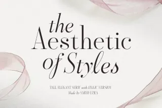 Aesthetic Styles - Tall Serif