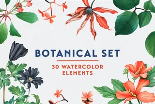 Botanical Garden Watercolor Set