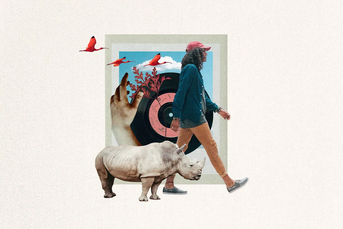 Plot Twist Collage Creator