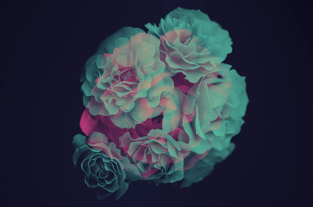 Flower Photoshop Brushes