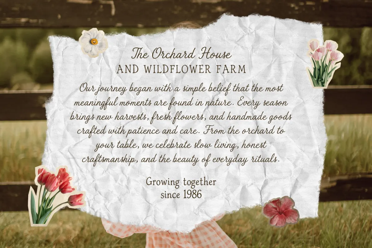 The Sunny Field - Rustic Serif & Script Duo