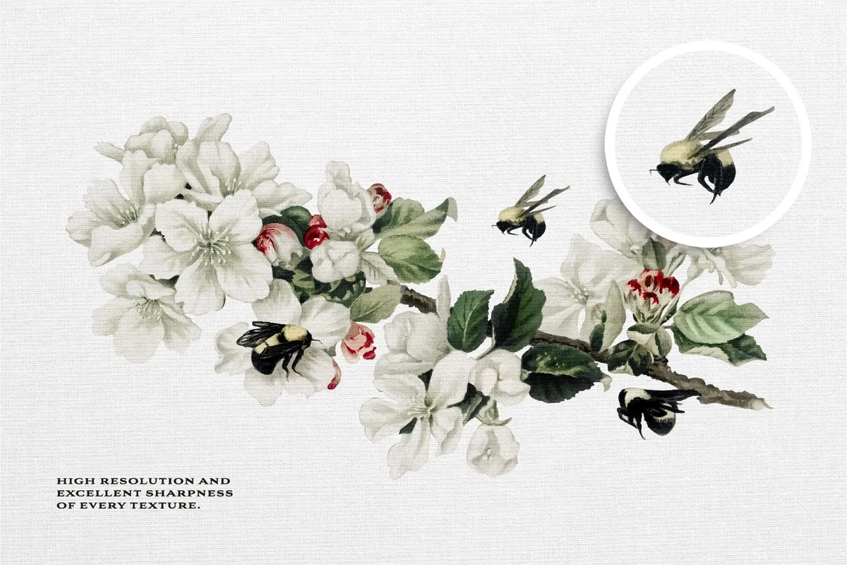 The White Canvas Textures