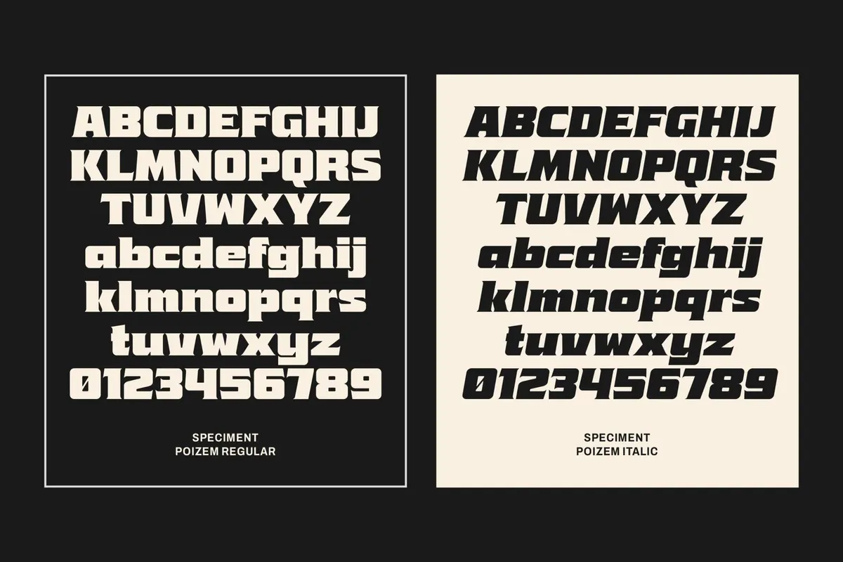 Poizem Serif Typeface