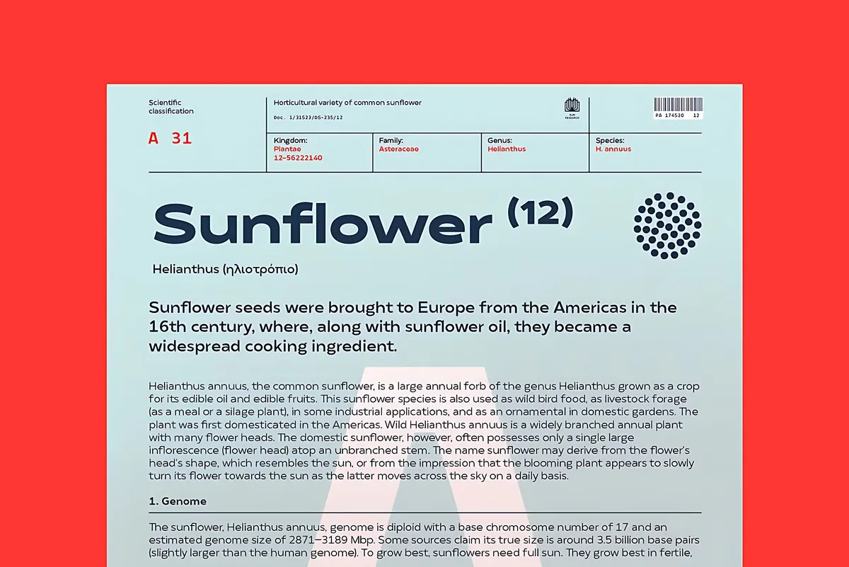 Matahari Sans Font Family