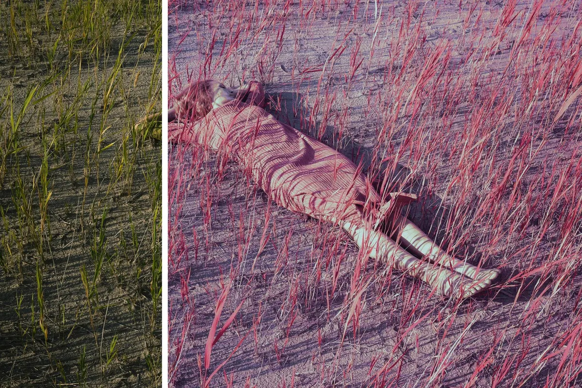 ​​Infrared Film Effect