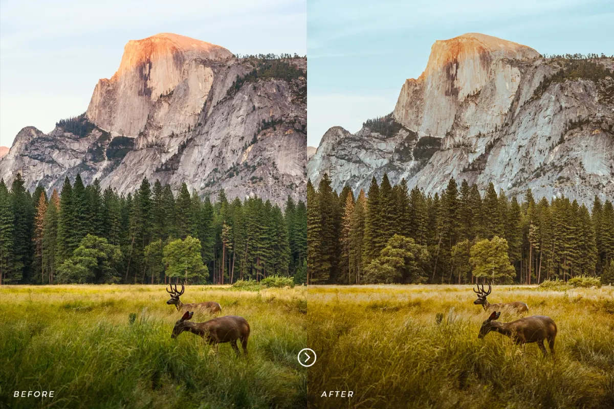 Nature Lightroom Presets