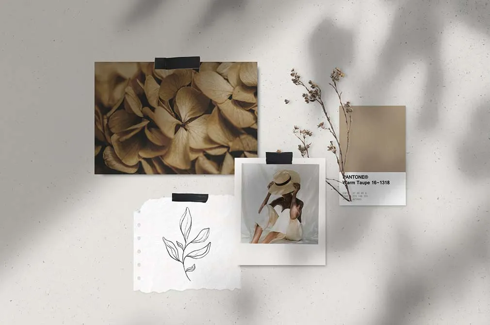 Botanical Line Art Pack